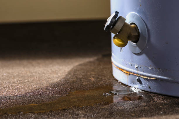 Best Flood damage cleanup  in Dayton, MN