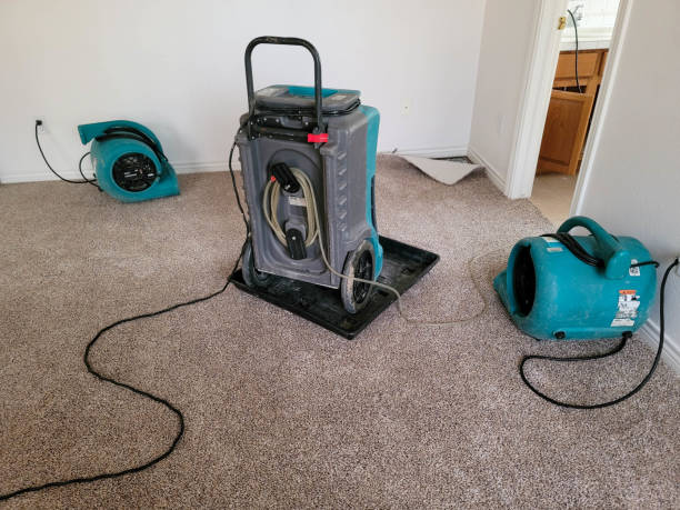 Best Fire Damage Restoration  in Dayton, MN