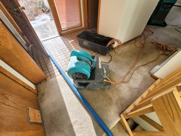 Best Ceiling water damage repair  in Dayton, MN