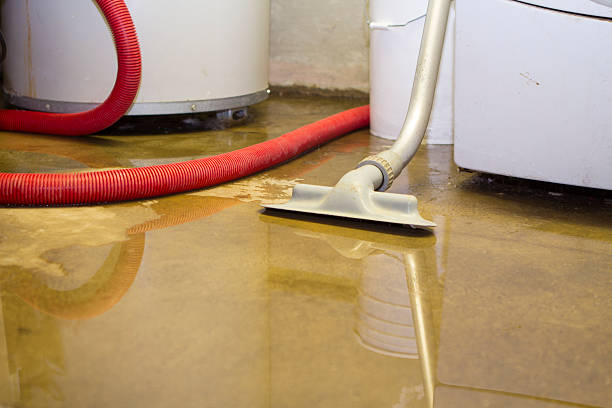 Best Local water damage restoration  in Dayton, MN