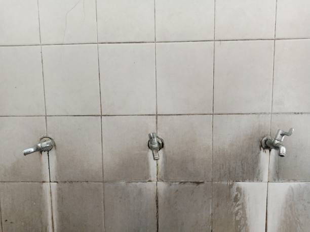 Best Emergency water damage restoration  in Dayton, MN
