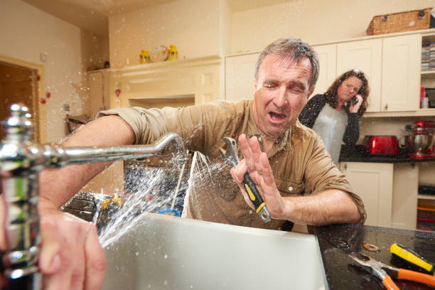 Best Sewage cleanup and water damage restoration  in Dayton, MN